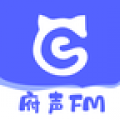 府声fm旧版