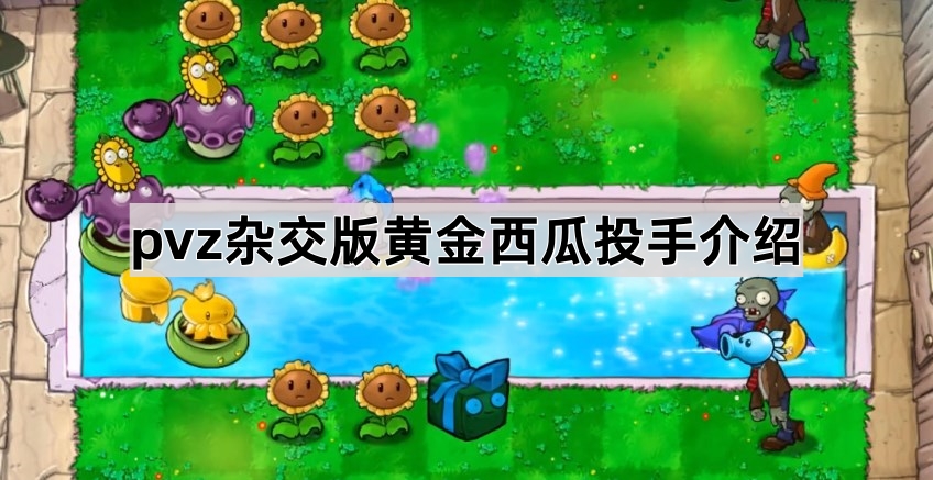 《植物大战僵尸杂交版》至尊金卡植物黄金西瓜投手介绍