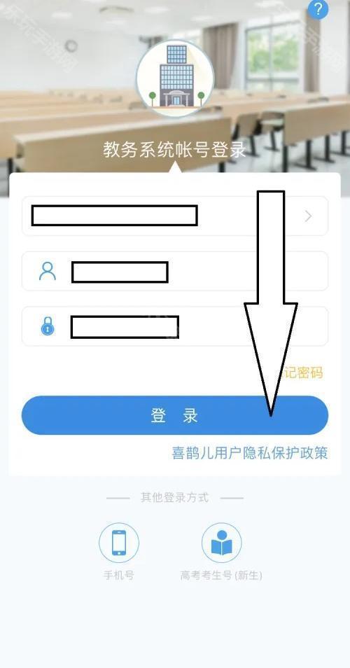 喜鹊儿309版本