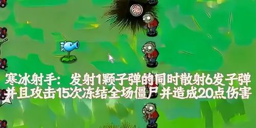 植物大战僵尸风韵版