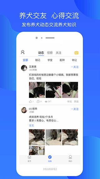 犬卫士截图1