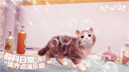 我和我的猫截图3