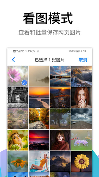 黑狮浏览器安卓版