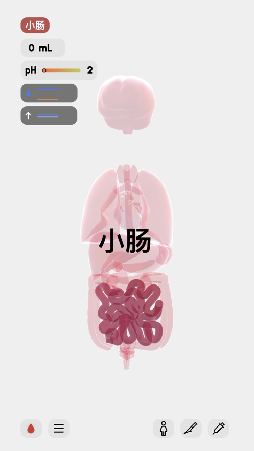 life生命模拟器1.5.1截图1