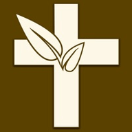 伴读圣经2025最新版本