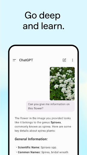 ChatGPT4.0免费最新版截图3