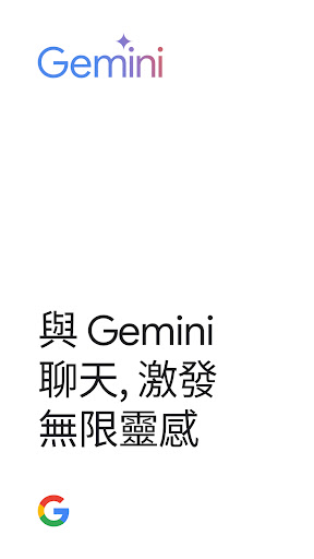 Google Gemini截图1