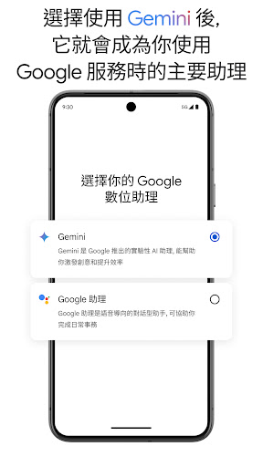 Google Gemini截图5