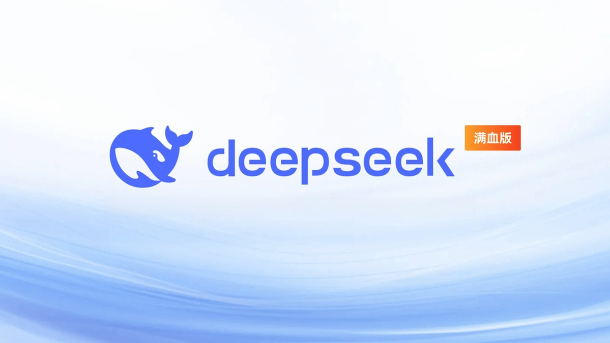 deepseek满血版