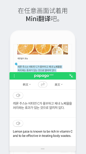 Naver Papago手机版截图8