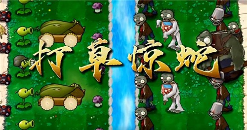 植物大战僵尸万宁版