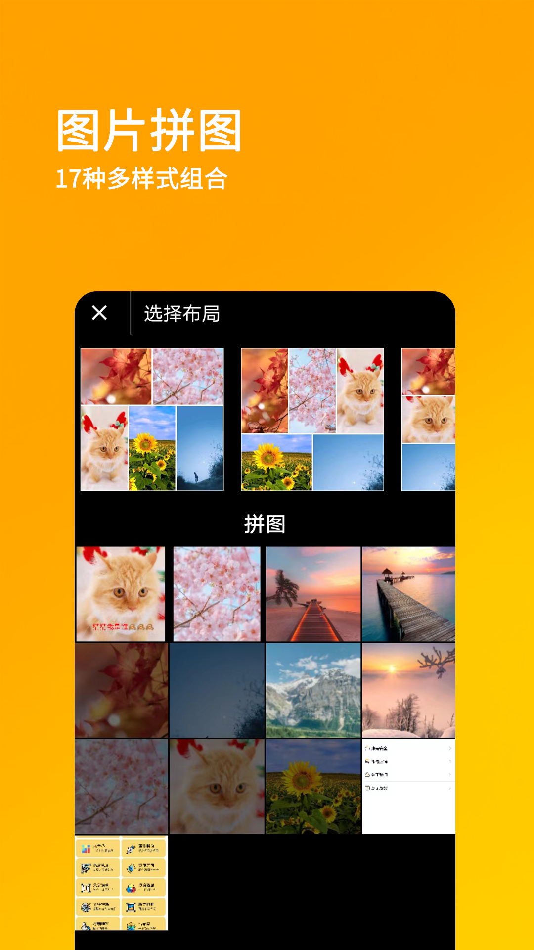 刷圈兔旧版本截图2