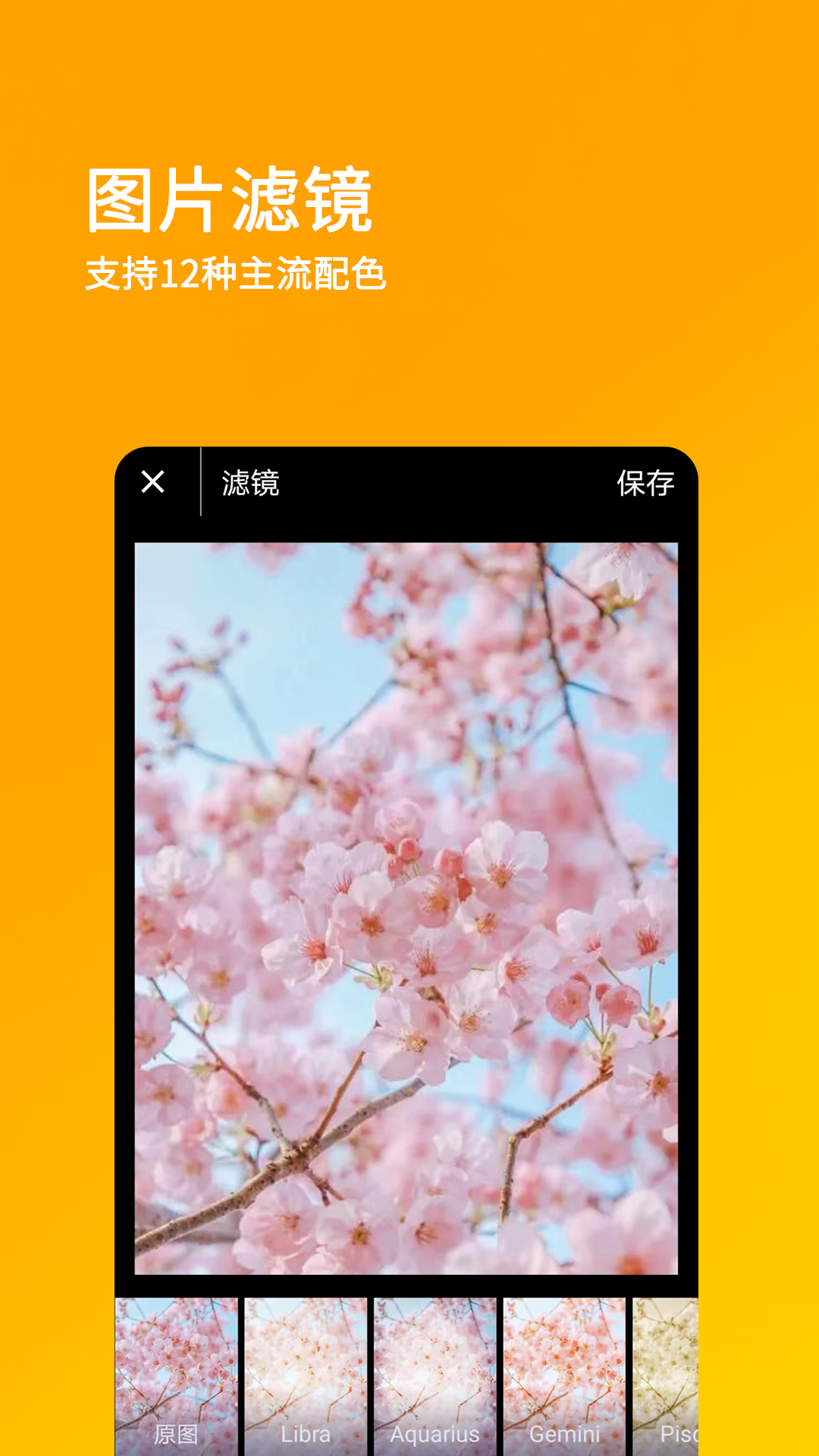 刷圈兔旧版本截图4