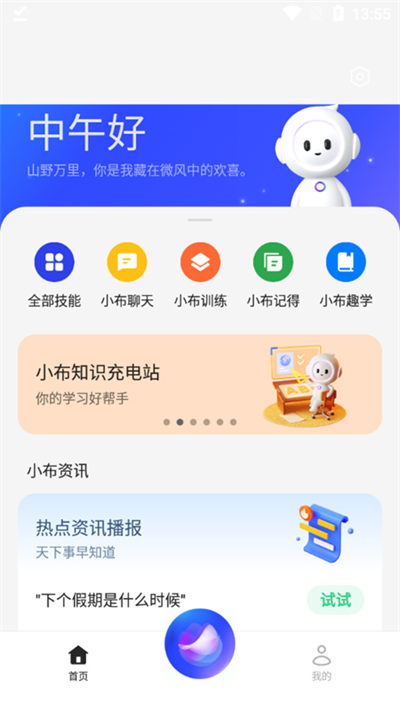 小布助手网页版截图4
