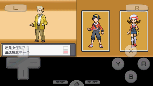 口袋妖怪心金魂银汉化版截图5