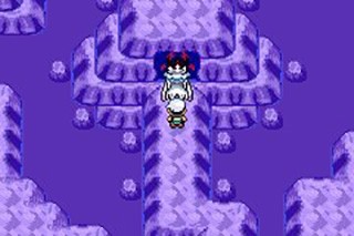 口袋妖怪究极绿宝石511