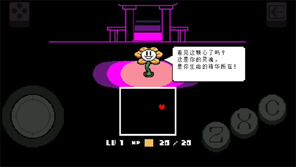 预览图4
