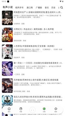 轻云听书纯净版