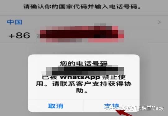 whatsapp国际版最新版