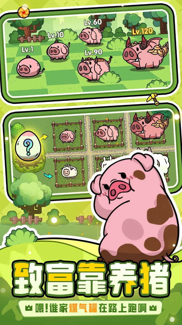 预览图3
