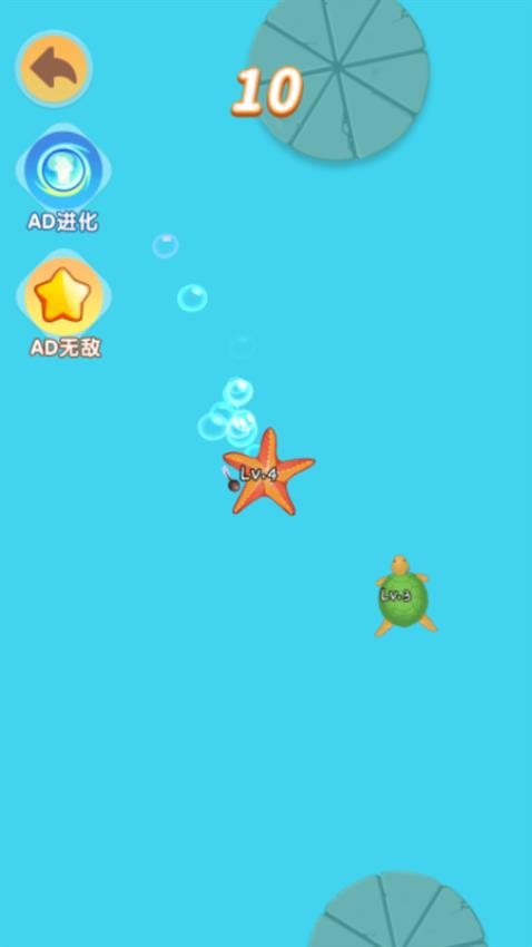 神龙进化游乐园