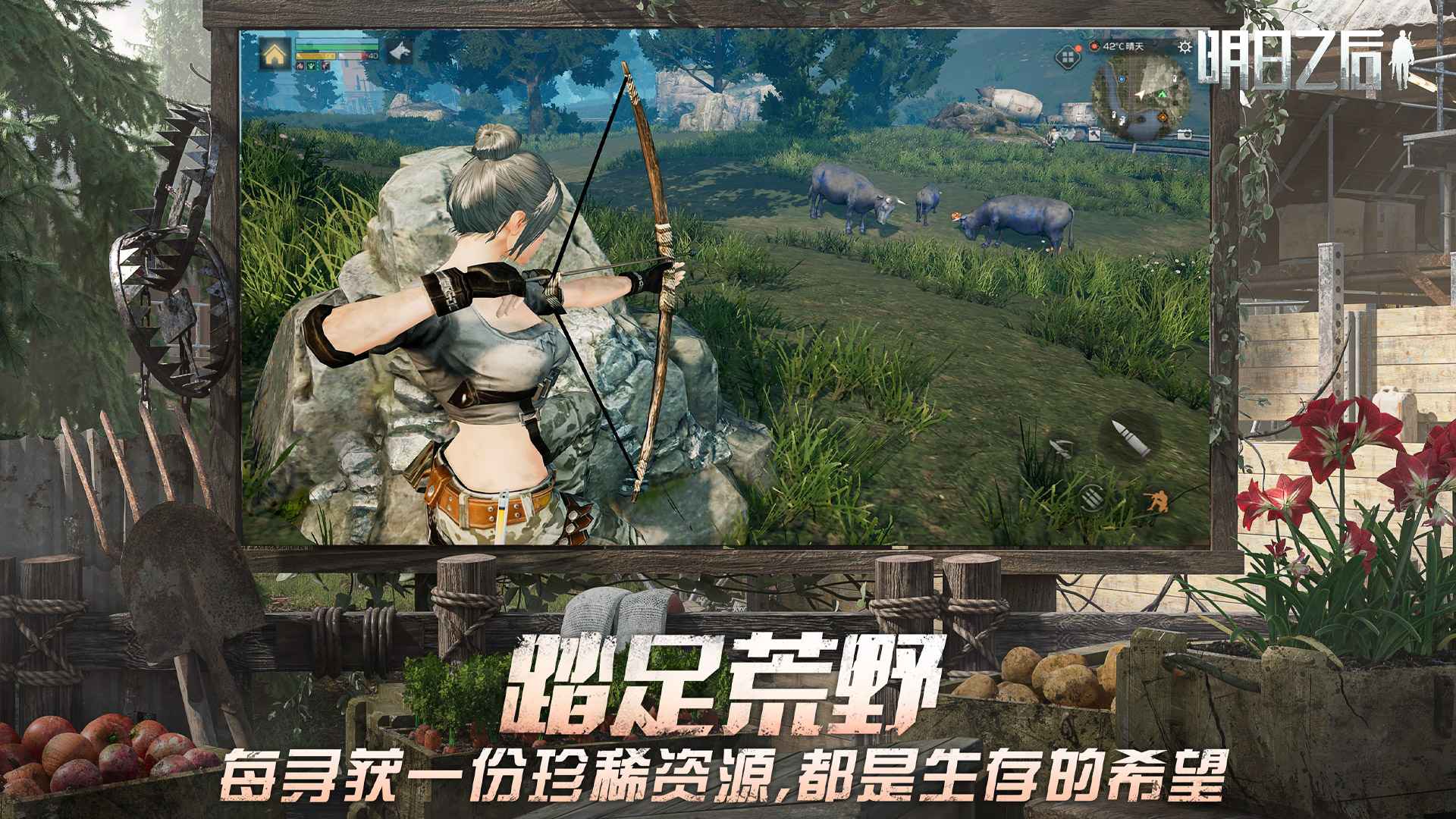 预览图4