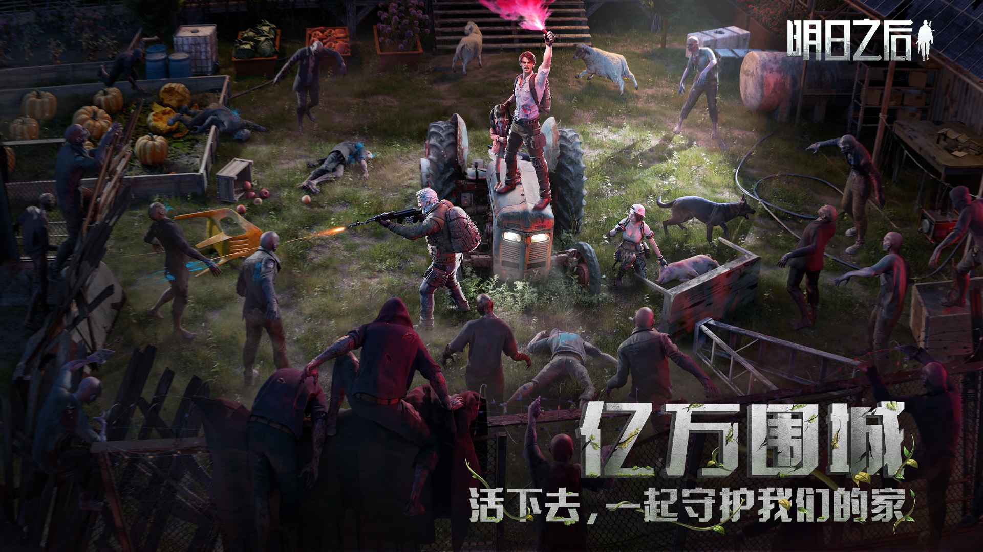 预览图5