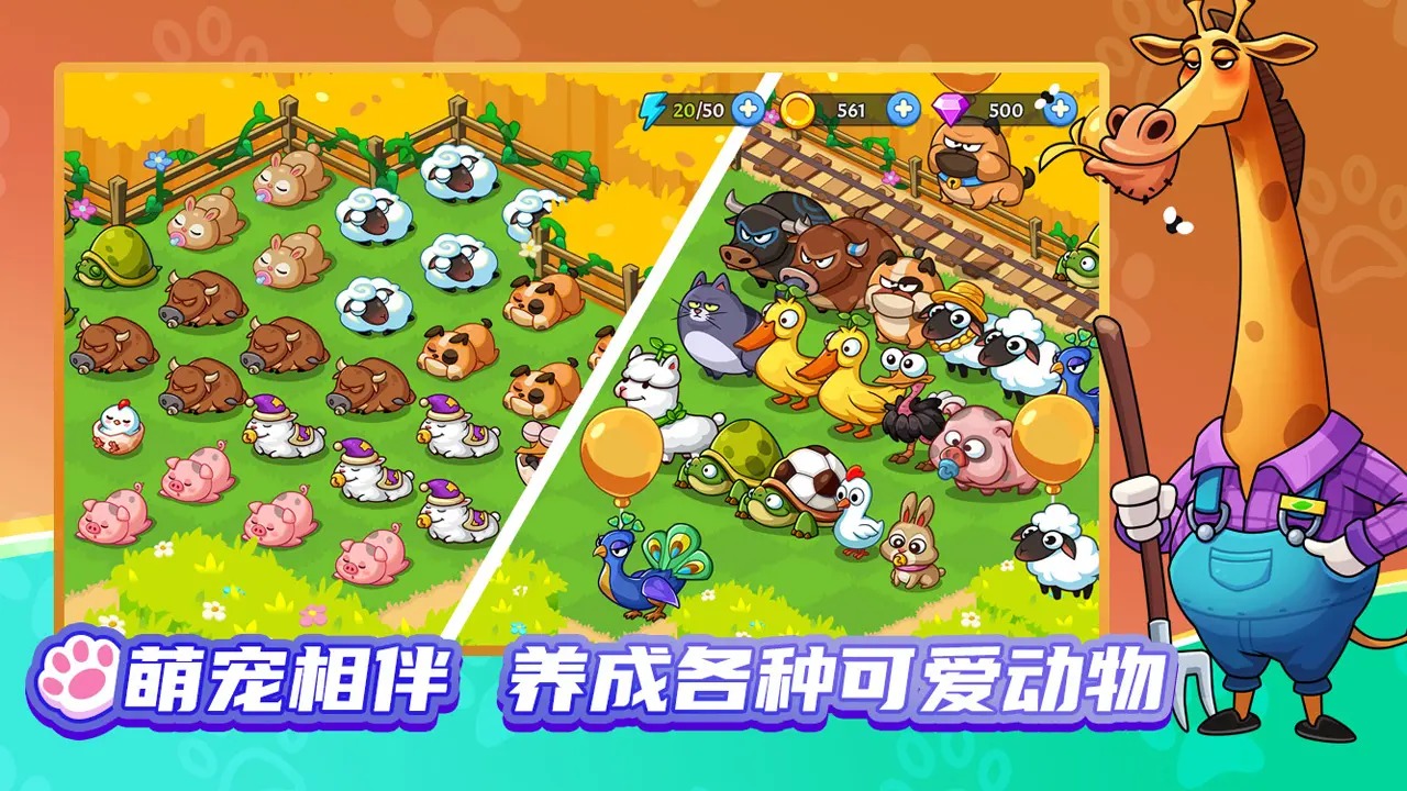 预览图3