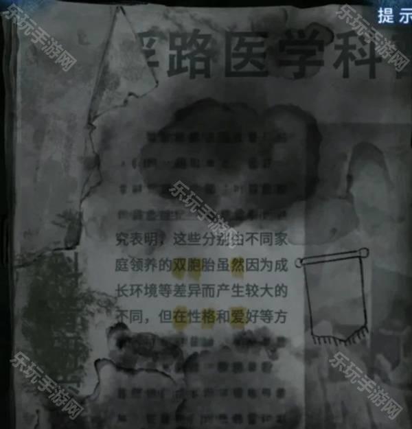 奇珀网