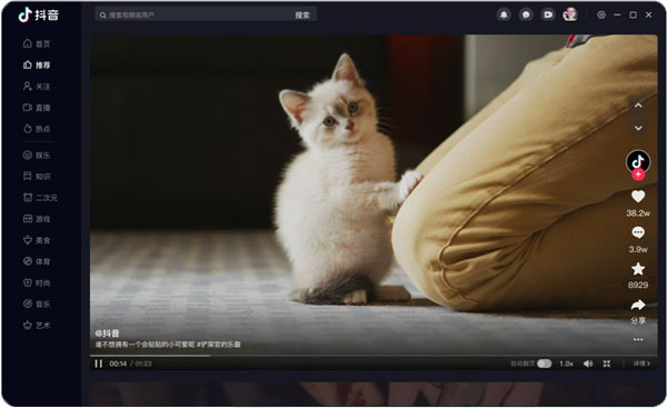 抖音车机版截图4