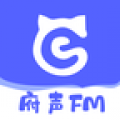 府声FM最新版