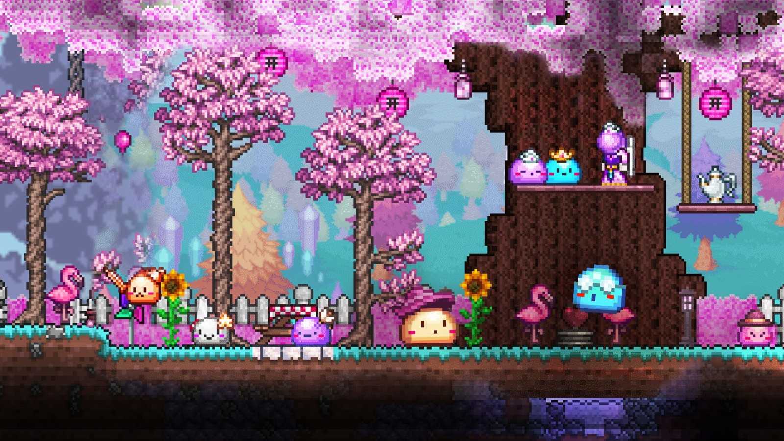 预览图2