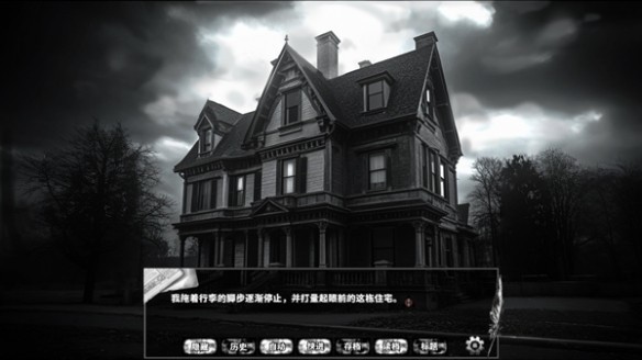 啮齿动物No44观察记录