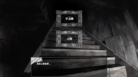 啮齿动物No44观察记录