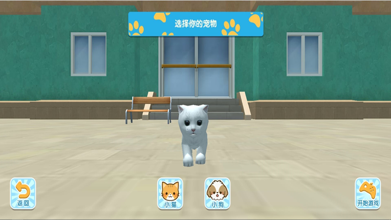 三维老猫的世界行