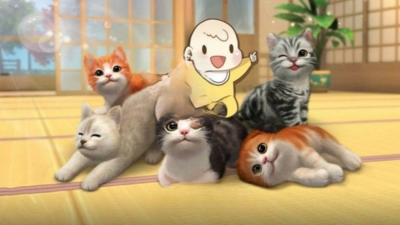 三维老猫的世界行