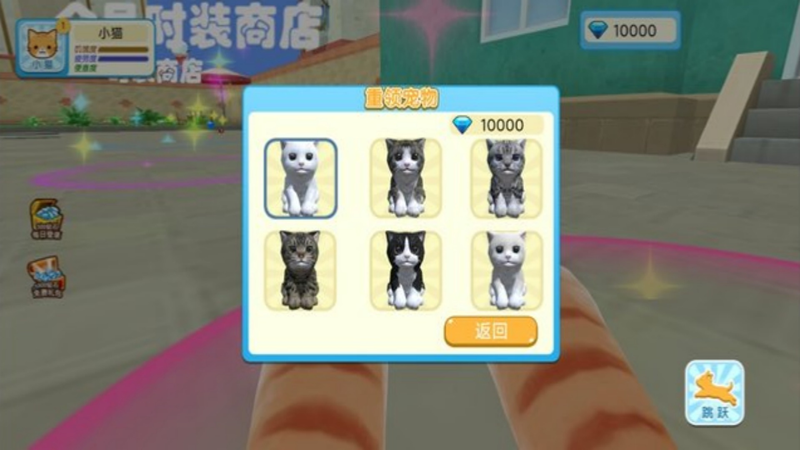 三维老猫的世界行