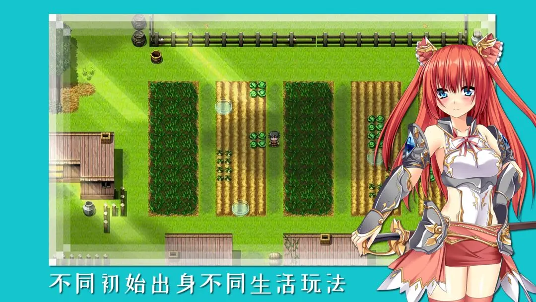 预览图4