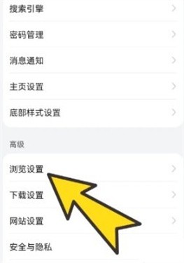 bobo浏览器全球通黑色版本