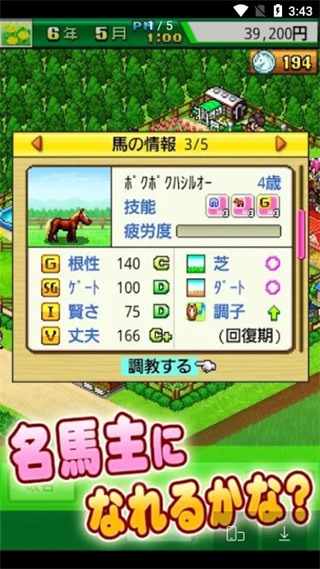 顶级跑马牧场内置修改器