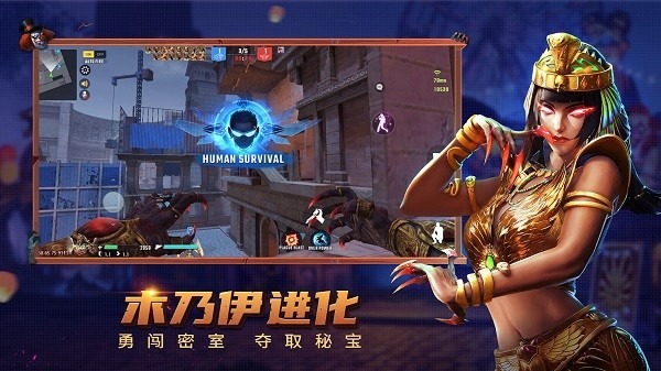 预览图4