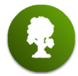 泰拉瑞亚tmodloader