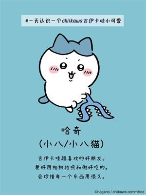 哈奇/小八/小八猫截图