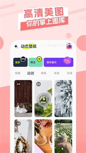 主题库vivo仿苹果截图2