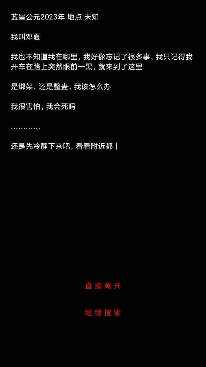 预览图4