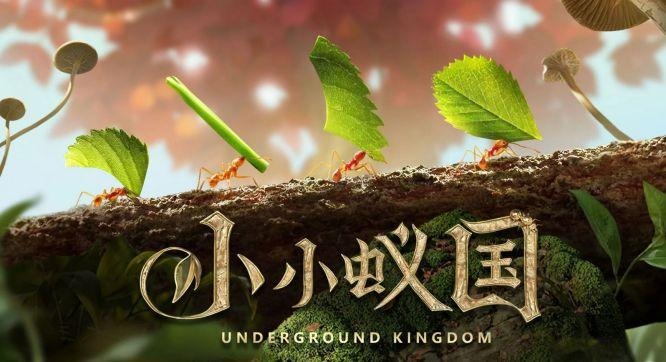 小小蚁国国际服截图6