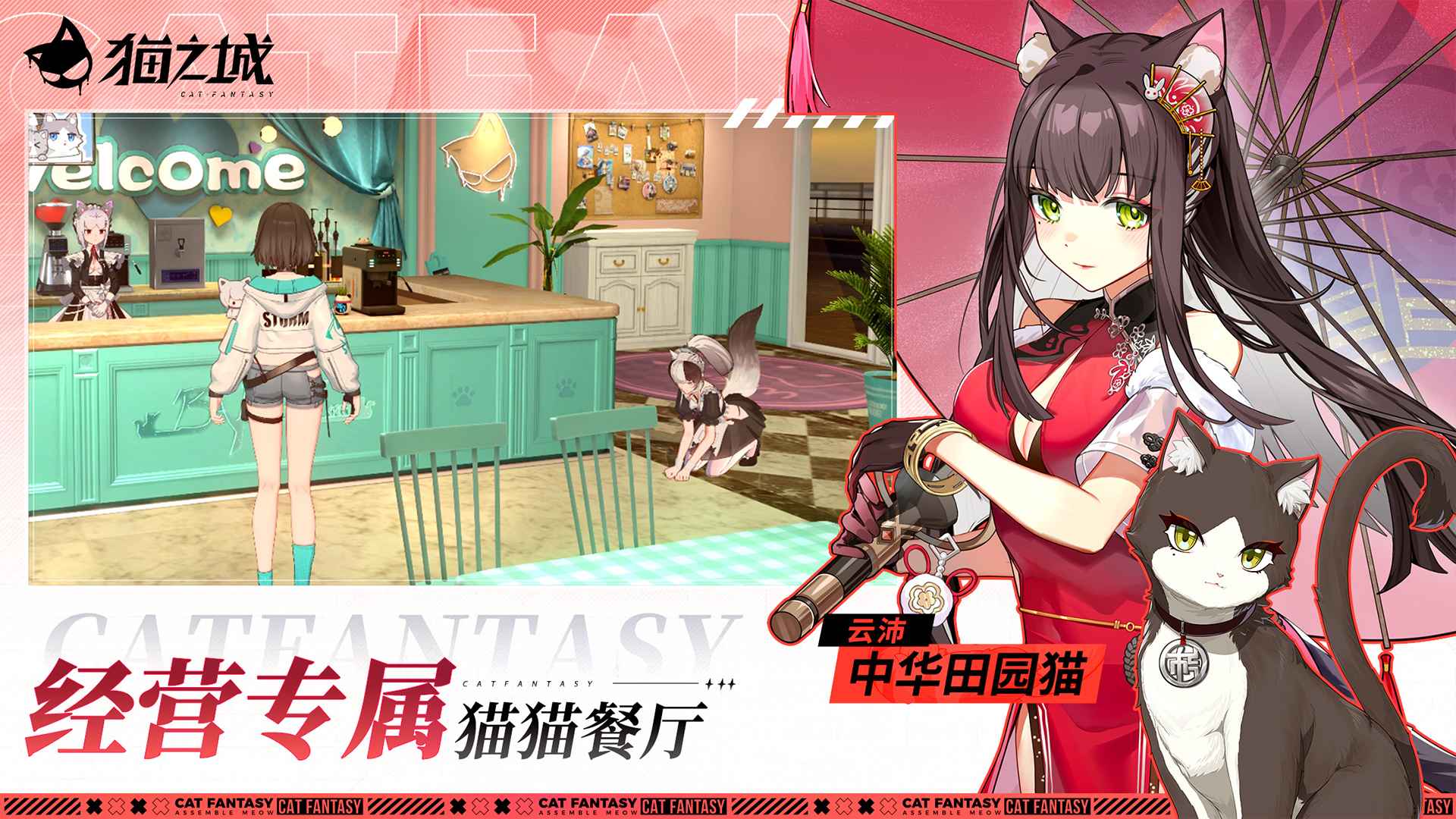 猫之城官方版截图4