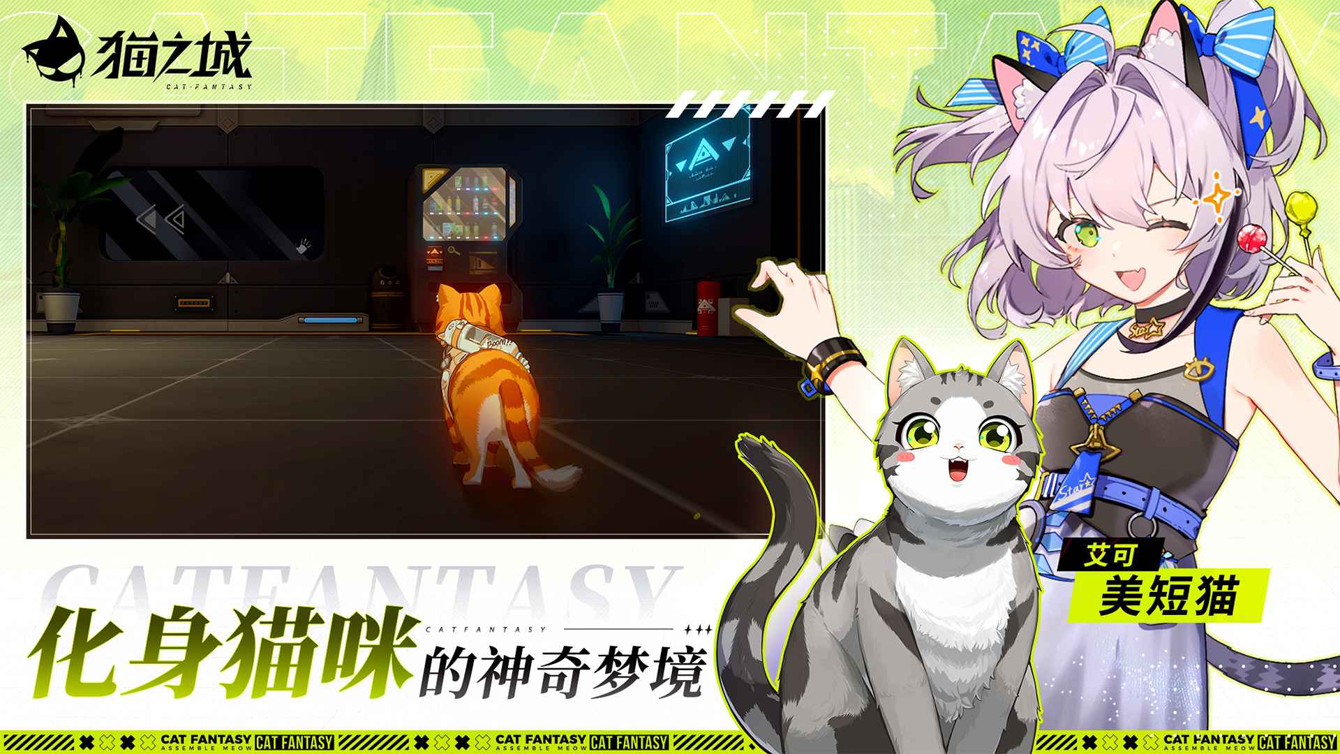 猫之城官方版截图3