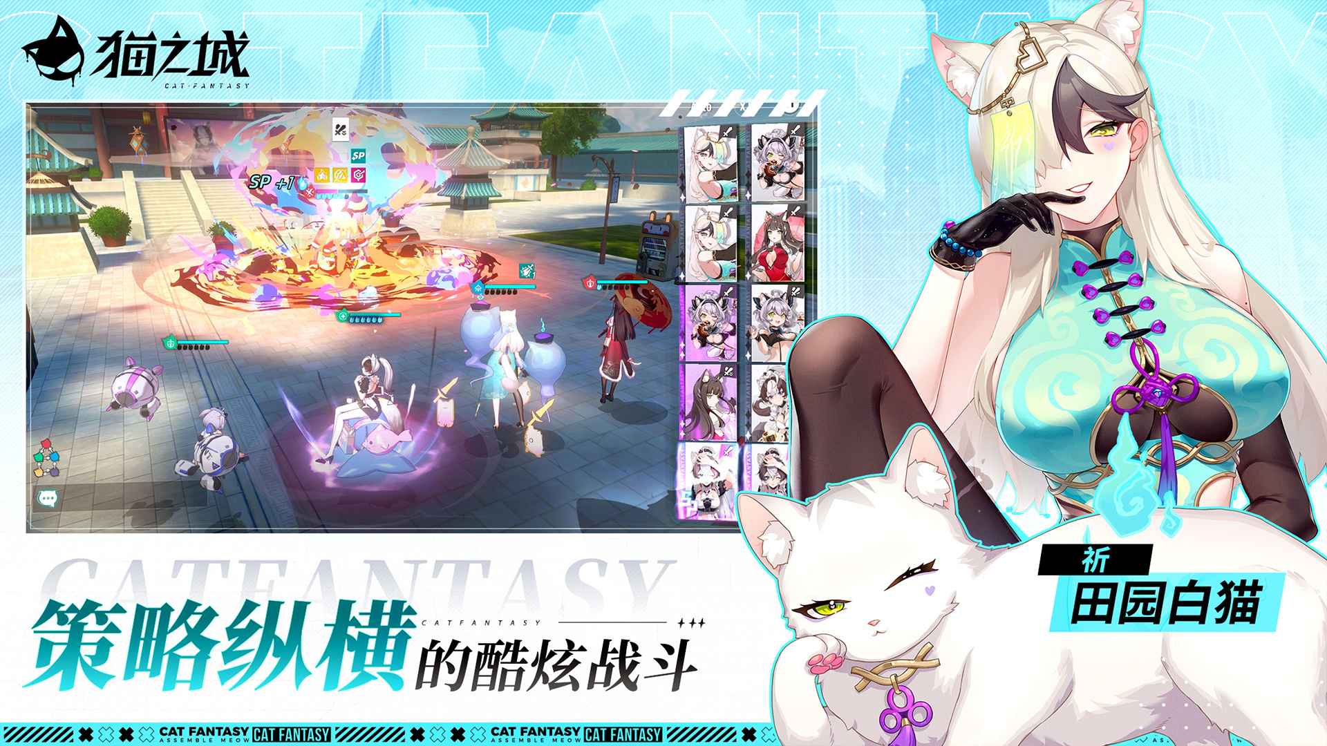 猫之城官方版截图5