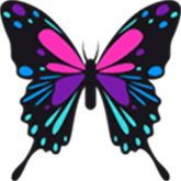 流星蝴蝶剑移植完美版